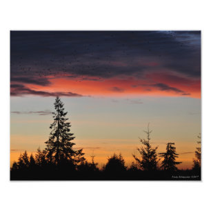 Sunrise and Trees Photo Print