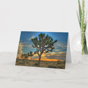 Sunrise At Joshua Tree National Park Card