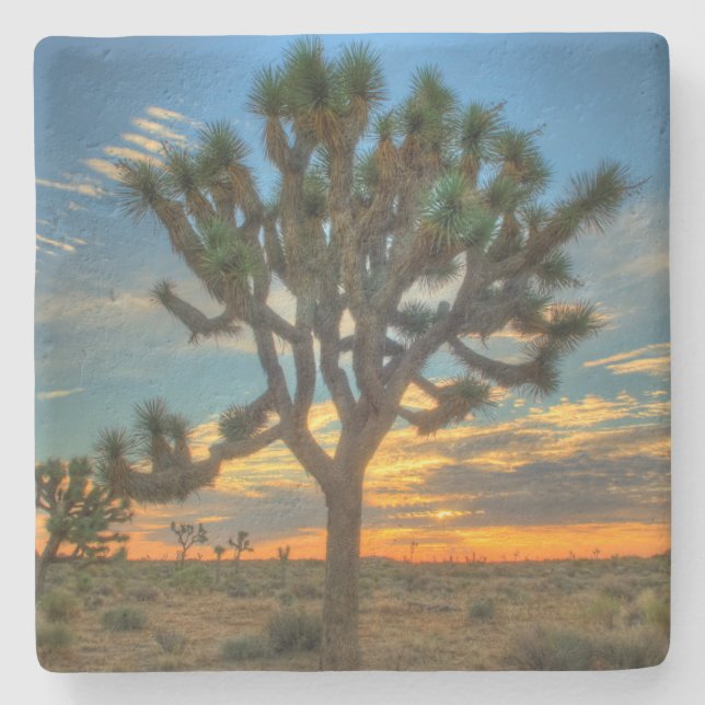 Sunrise At Joshua Tree National Park Stone Coaster (Front)