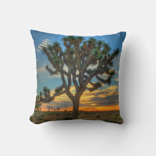 Sunrise At Joshua Tree National Park Throw Pillow (Front)