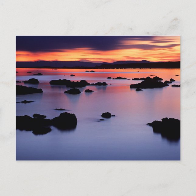 Sunrise at Mono Lake's Black Point Postcard (Front)