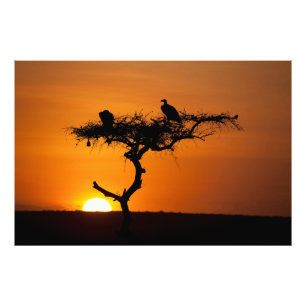 Sunrise at the Masai Mara, Kenya Photo Print