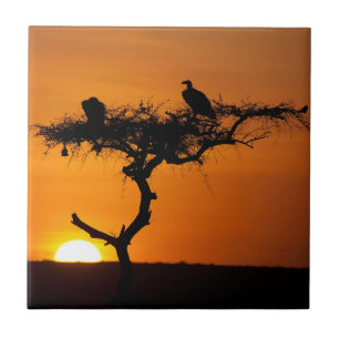 Sunrise at the Masai Mara, Kenya Tile