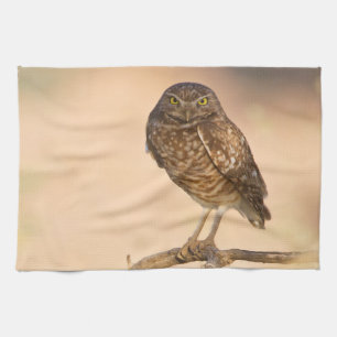 Sunrise Burrowing Owl Kitchen Towel