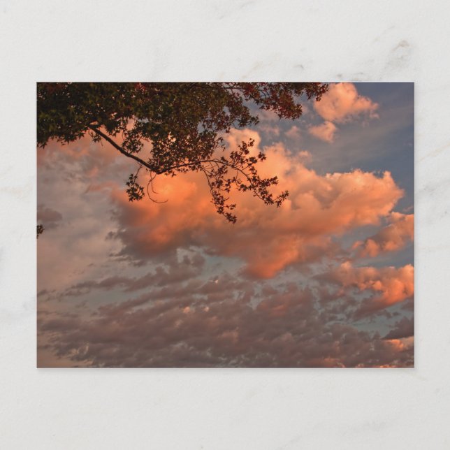Sunrise clouds, post card (Front)