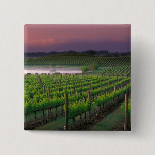 Sunrise colour in the distant fog behind 2 inch square button