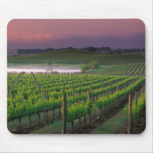 Sunrise colour in the distant fog behind mouse pad