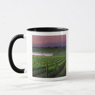 Sunrise colour in the distant fog behind mug