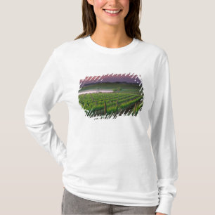 Sunrise colour in the distant fog behind T-Shirt