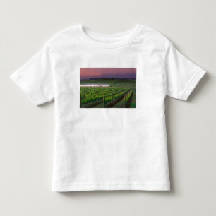 Sunrise colour in the distant fog behind toddler t-shirt