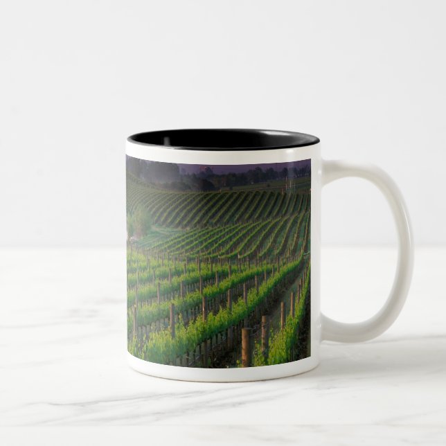 Sunrise colour in the distant fog behind Two-Tone coffee mug (Right)