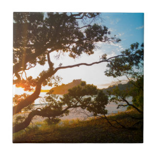 Sunrise Coromandel beach paradise New Zealand Tile