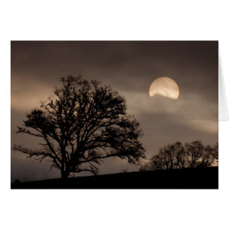 Sunrise de la vallée de l'Umpqua