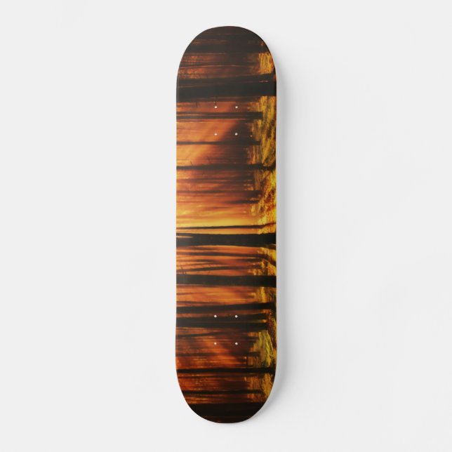 Sunrise Forest Skateboard (Front)