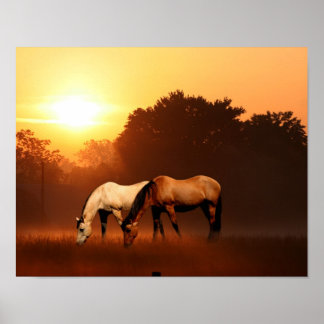 Sunrise horses poster