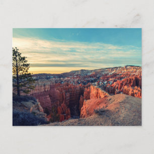 Sunrise In Bryce Postcard