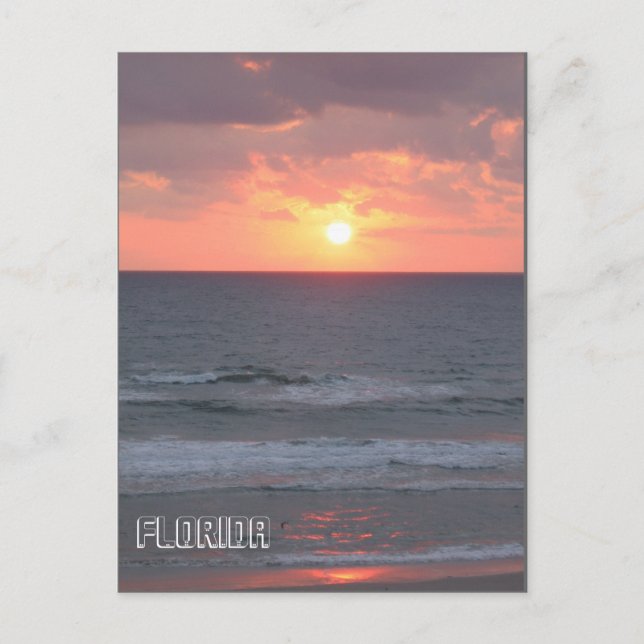 Sunrise in Florida Postcard (Front)