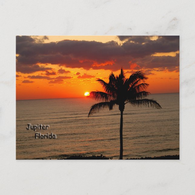Sunrise in Jupiter Postcard (Front)