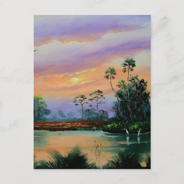 Sunrise in the Everglades Postcard (Front)