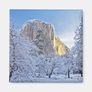 Sunrise light hits El Capitan through snowy Magnet
