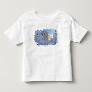 Sunrise light hits El Capitan through snowy Toddler T-shirt