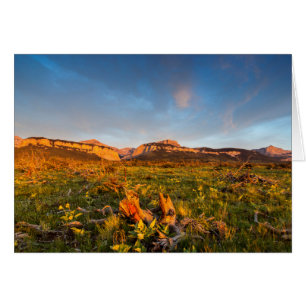 Sunrise Lights Blackleaf Canyon 2