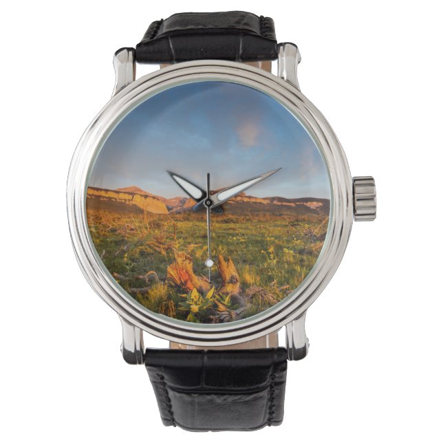 Sunrise Lights Blackleaf Canyon 2 Watch (Front)