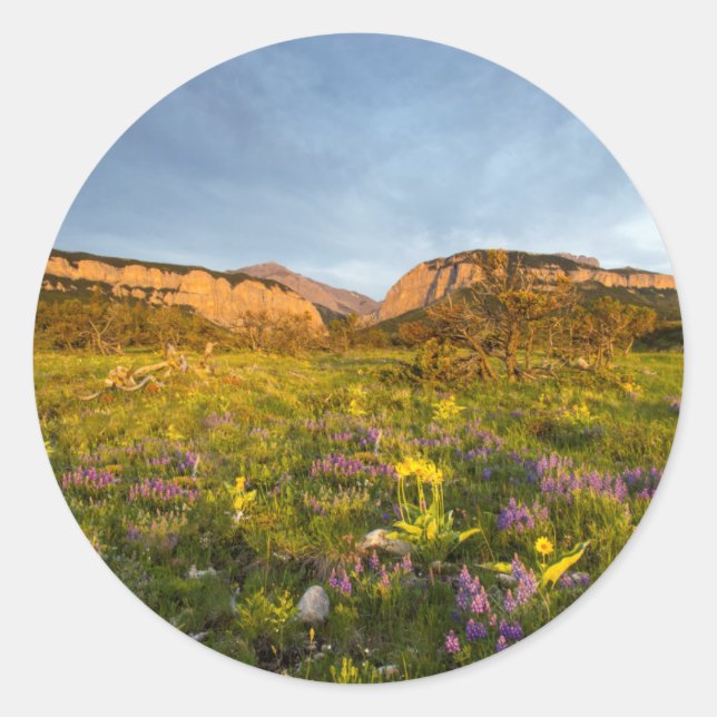 Sunrise Lights Blackleaf Canyon Classic Round Sticker (Front)