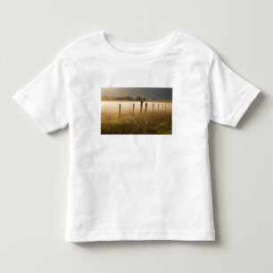 Sunrise lights fog along fence near Charlo Toddler T-shirt