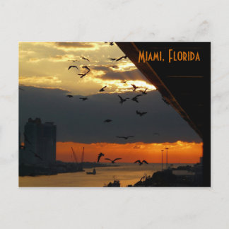 SUNRISE...... Miami, Florida Postcard