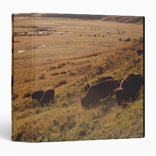 Sunrise On Bison Binder
