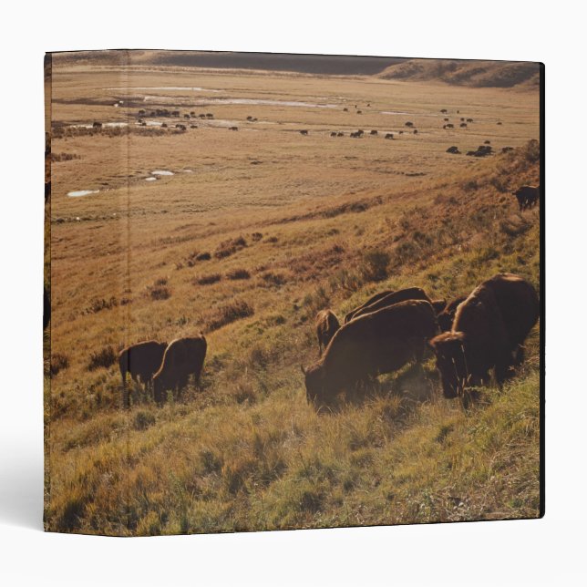 Sunrise On Bison Binder (Front/Spine)