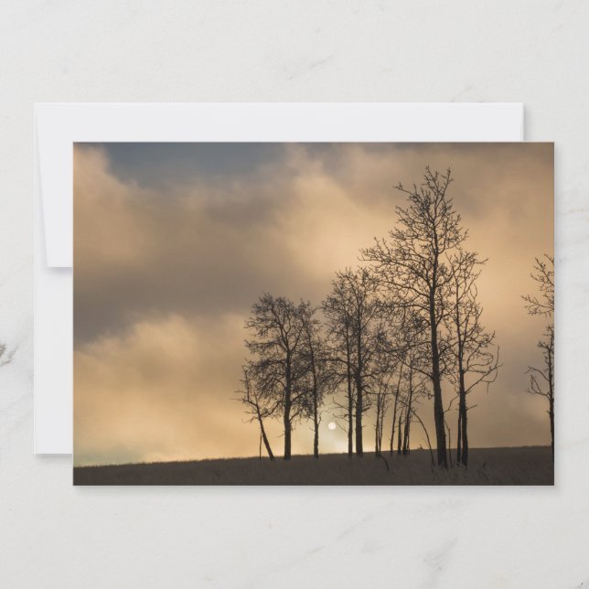 Sunrise on Clouds and Trees Thank You Card (Front)