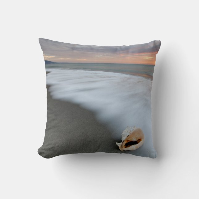 Sunrise On The Beach And A Shell Throw Pillow (Front)