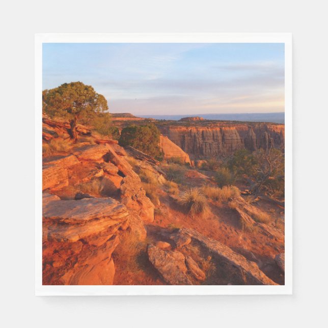Sunrise on the Grand View Trail at CO Monument Napkin (Front)