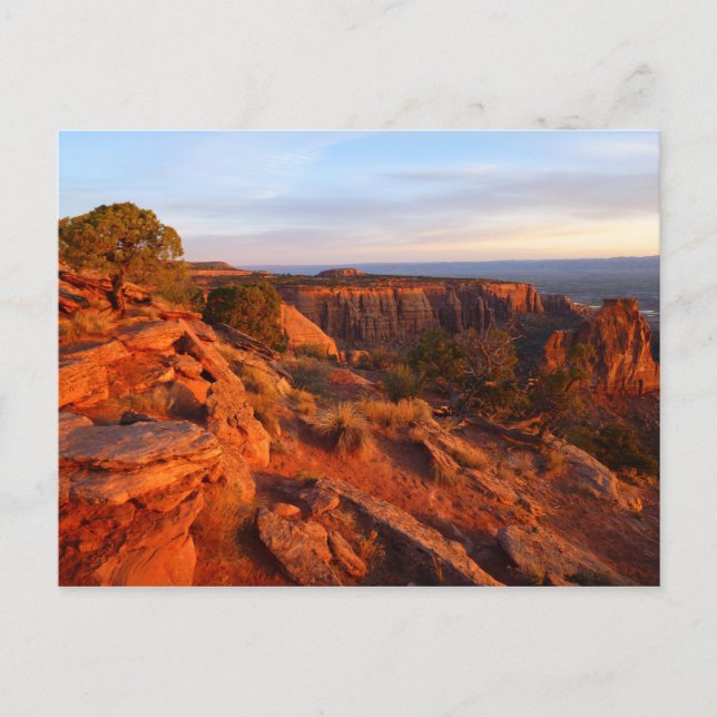 Sunrise on the Grand View Trail at CO Monument Postcard (Front)