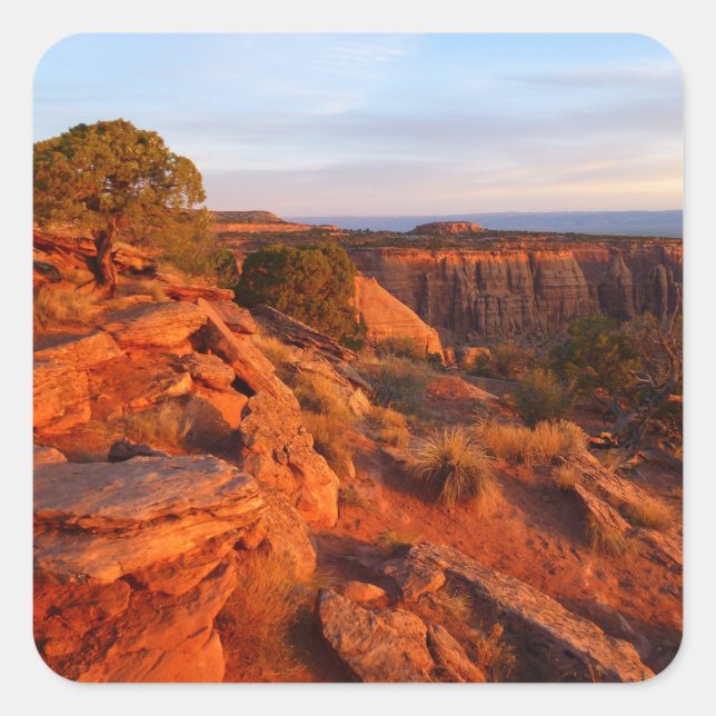 Sunrise on the Grand View Trail at CO Monument Square Sticker (Front)