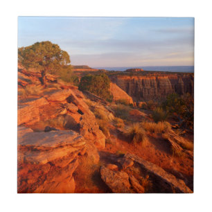 Sunrise on the Grand View Trail at CO Monument Tile