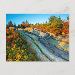 Sunrise over Cadillac Mountain Postcard