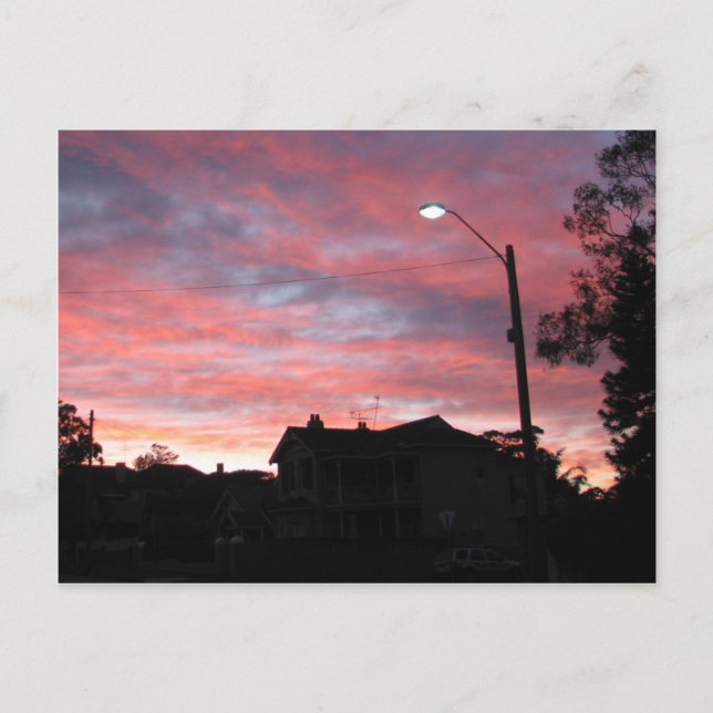 Sunrise over Centennial Park, Sydney Postcard (Front)