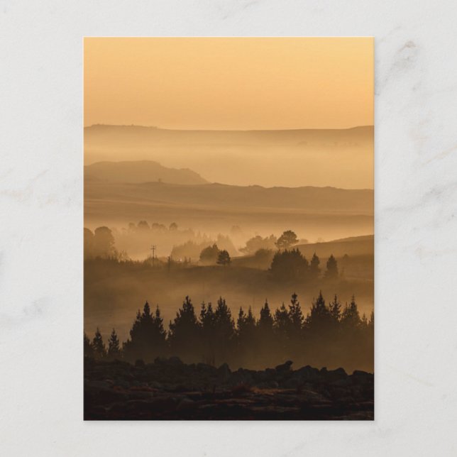 Sunrise Over Misty Rolling Hills Landscape Postcard (Front)