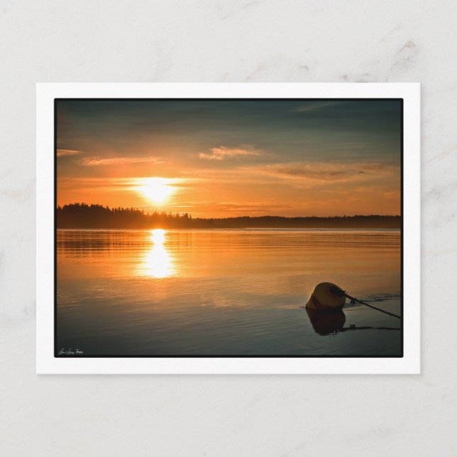 Sunrise over Passamaquoddy Bay. Postcard (Front)