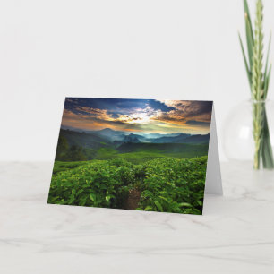 Sunrise over Tea Farm Card
