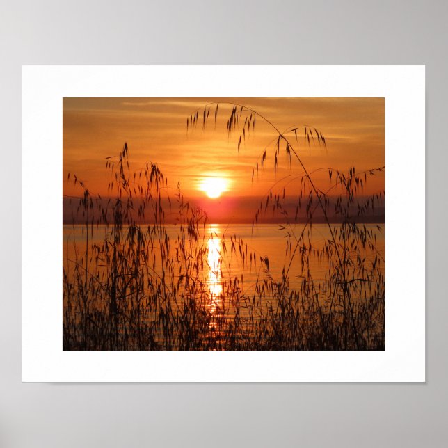 Sunrise over the Bay Poster (Front)