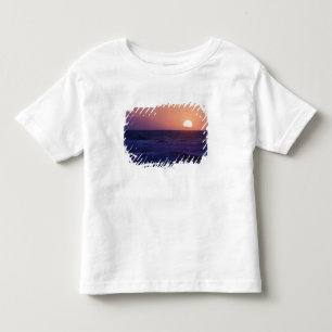 Sunrise Over The Malaga Bay Toddler T-shirt
