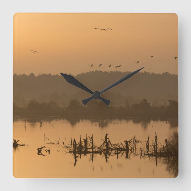 Sunrise over the marsh square wall clock (Front)