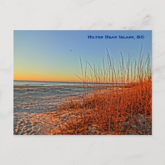 Sunrise Over The Surf! Hilton Head Island, SC Postcard (Front)