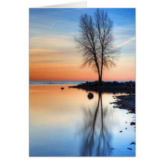 Sunrise Palette