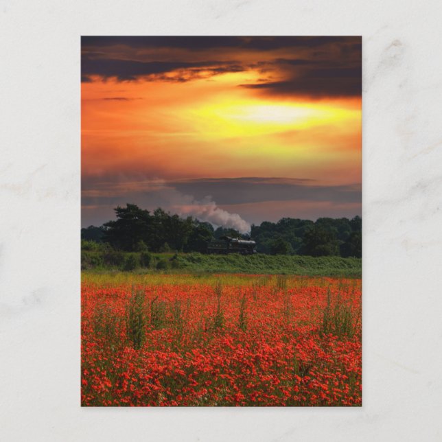 Sunrise Poppy Field And Steam Locomotive Postcard (Front)