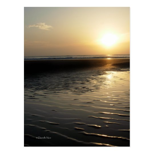 Sunrise Postcard